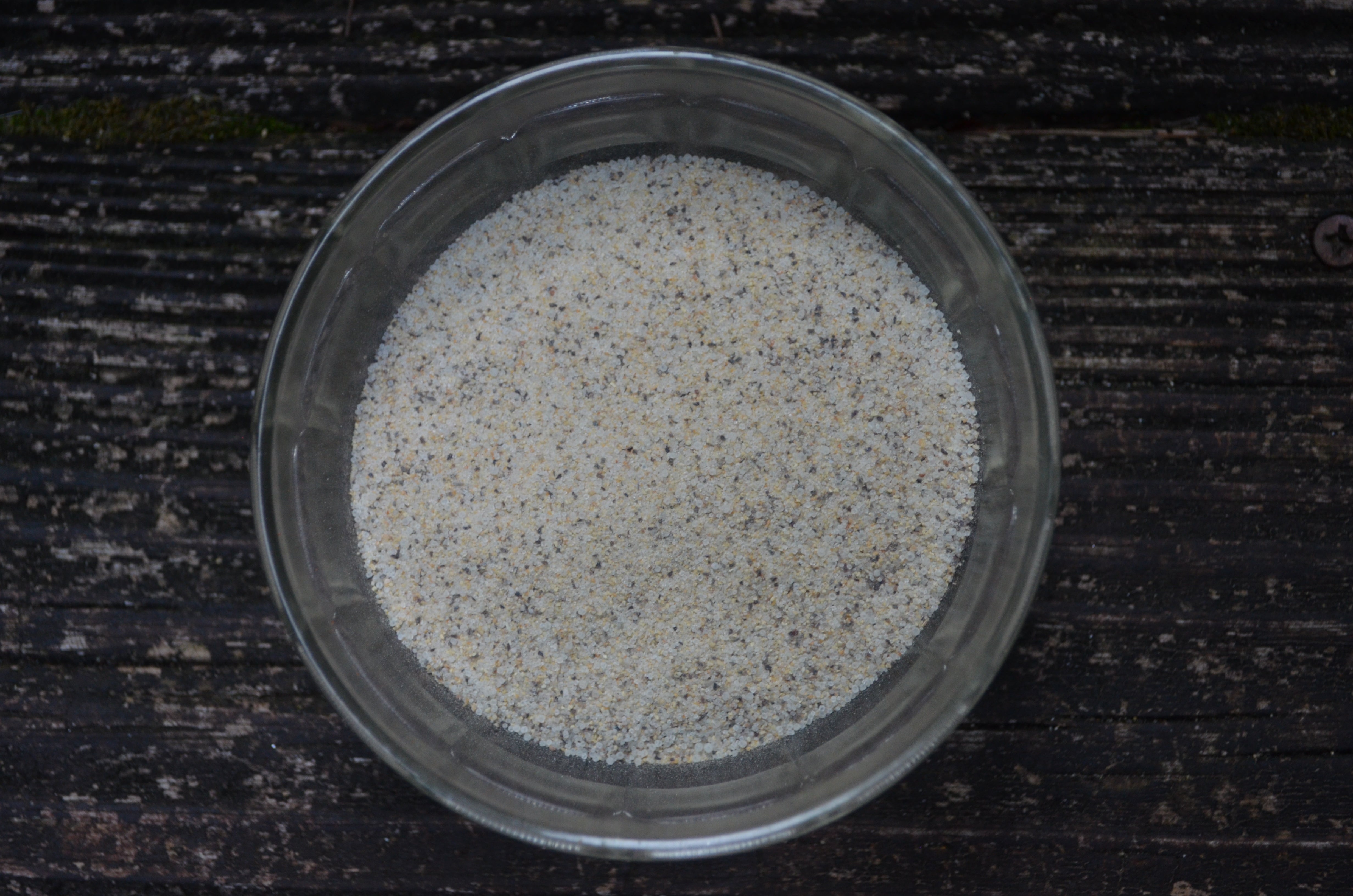 Regular Seasoning Possum's Regular Seasoning – Possum's Seasoning